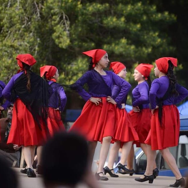 danzas diez