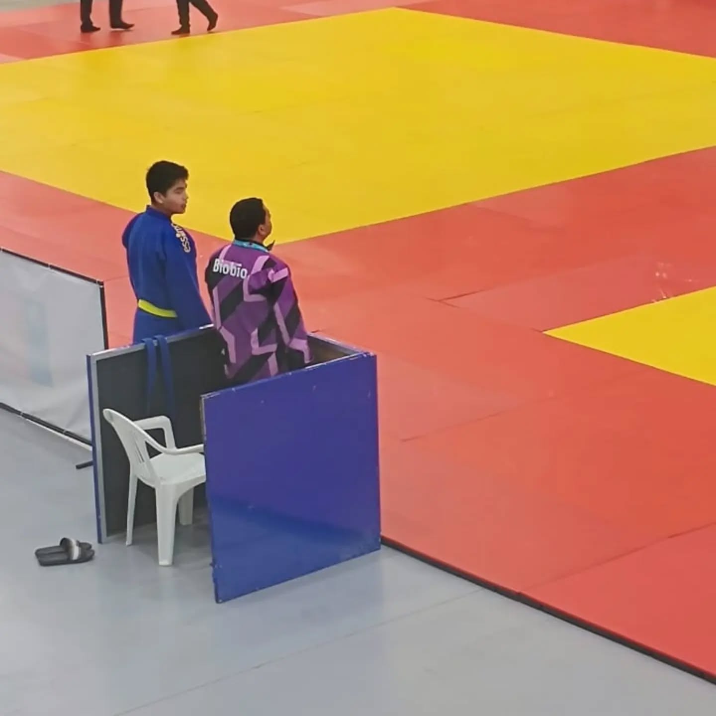 judokas raiquen 6